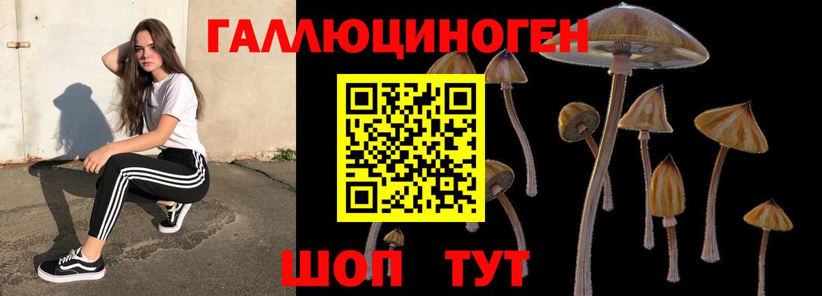 Пыть-Ях  Псилоцибиновые грибы ЛСД  Вход с VPN 